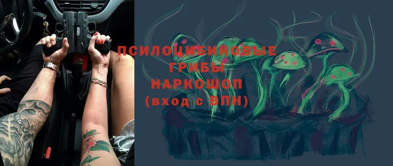 наркотики  Никольское  Галлюциногенные грибы мицелий 